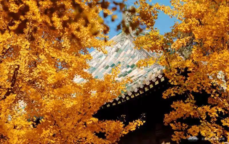 繽紛三孔 | 多彩秋日游，享受視覺盛宴！一起“趣”三孔吧