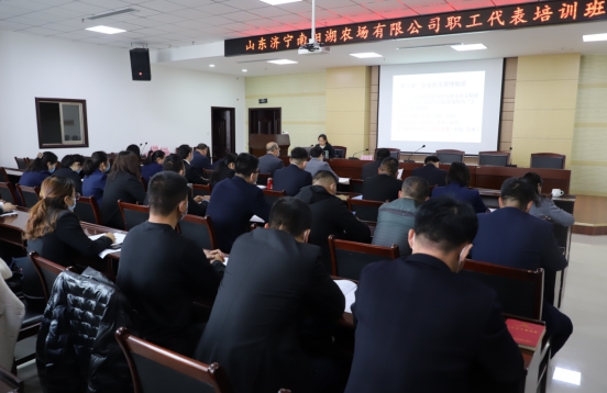 未命名1647913094 未命名1647913094