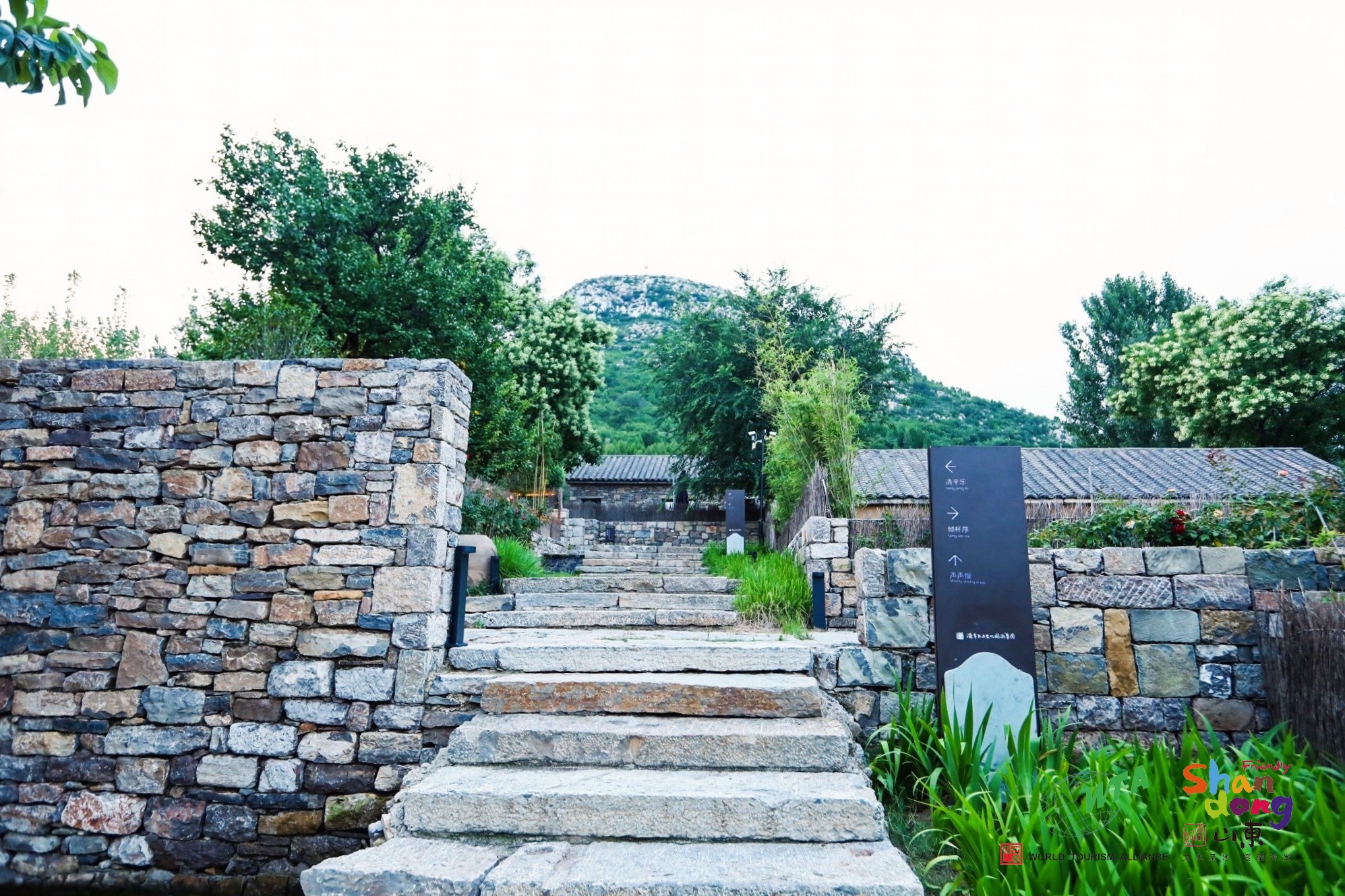 HE0A0353-opq283397795 HE0A0353-opq283397795