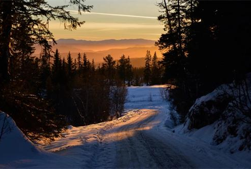 疫情對旅游景區(qū)的影響及其應對策略探討