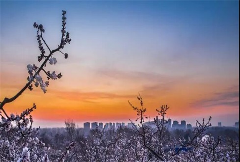 關(guān)于中央、省、市出臺的促進(jìn)企業(yè)復(fù)工復(fù)產(chǎn) 政策及主要內(nèi)容解讀