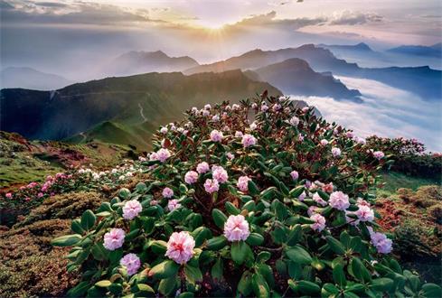 那些不應該被遺忘的濟寧古八景