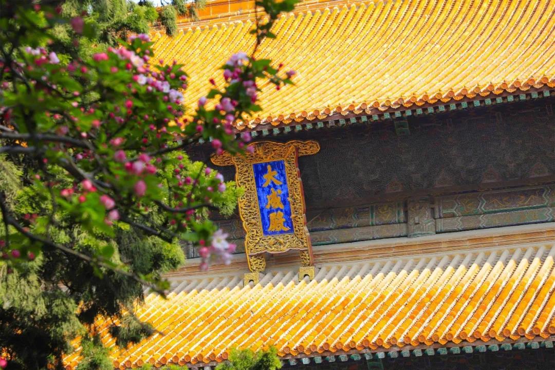 五一出游攻略 | 孔子文旅集團這些景區(qū)歡迎打卡！